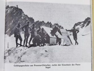 "Krieg in den Alpen 1915 - 1918, Ortler Adamello Gardasee, Heinz von Lichem, DIN A5, 343 Seiten, aus Raucherhaushalt