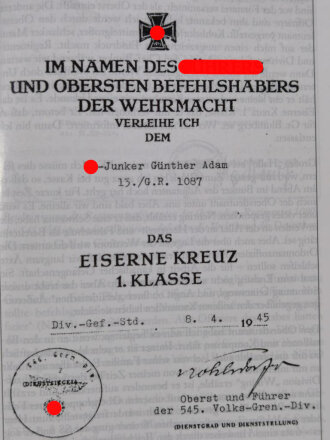 "Ich habe meine Pflicht erfüllt!", Ein Junker der Waffen - SS berichtet, Günter Adam, DIN A5, 536 Seiten