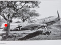  "Luftwaffe im Focus", Edition No 8, unveröffentlichte Aufnahmen - unpublished photos, DIN A4, 48 Seiten, aus Raucherhaushalt