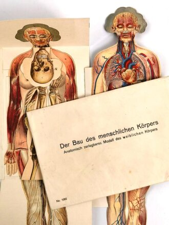 Falttafel " Der Bau des menschlichen Körpers" Anatomisch zerlegbares Modell des weiblichen Körpers. Maße des Umschlag 17 x 25cm