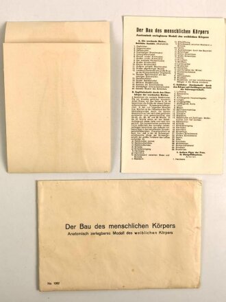 Falttafel " Der Bau des menschlichen Körpers" Anatomisch zerlegbares Modell des weiblichen Körpers. Maße des Umschlag 17 x 25cm