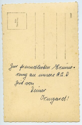 Reichsarbeitsdienst weiblich, Studioaufnahme 9 x 13cm