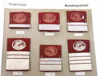 Österreich, Sammlung Abzeichen zum Thema Bundespolizei, alles auf Karton aufgetackert