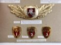 Weissrussland / Belarus , Sammlung Effekten zum Thema Polizei , jeweils auf Karton befestigt