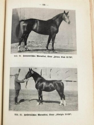 Landwirtschaftliche Lehrbuch-Reihe 3. Teil "Viehhaltung und Fütterung" Reichsnährstand , 256 Seiten, datiert 1937, DIN A5, stark gebraucht