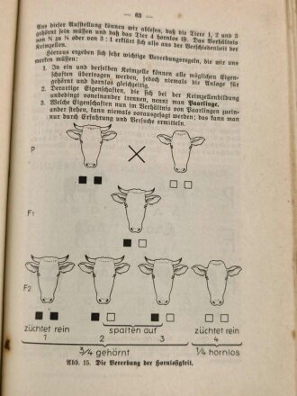 Landwirtschaftliche Lehrbuch-Reihe 3. Teil "Viehhaltung und Fütterung" Reichsnährstand , 256 Seiten, datiert 1937, DIN A5, stark gebraucht