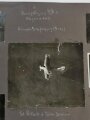 1.Weltkrieg, 278 Fotos aug grossformatigen Blättern 35 x 50cm eines Angehörigen der Fliegertruppe in Russland 1916 , Türkei, Metz 1917, Champagne 1917, Sedan . Grenzschutz Flieger Abteilung 429 in 1919