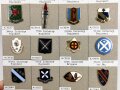 U.S. Army, Unit Crest collection, 20 x Infantry