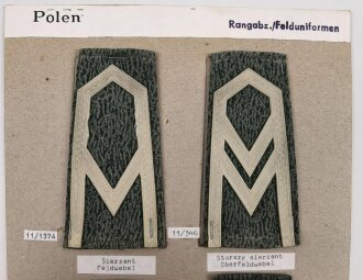 Polen, Sammlung an Militärabzeichen ( Rangabzeichen...