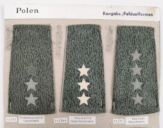 Polen, Sammlung an Militärabzeichen ( Rangabzeichen...