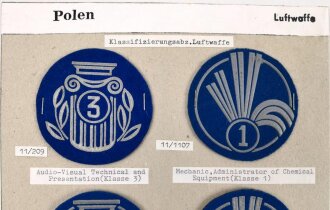 Polen, Sammlung Ärmelabzeichen Luftwaffe