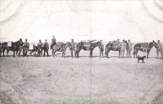 Postkarte, Deutsch Südwestafrika "Gebirgsbatterie auf Maulesel verladen", in den Ecken Abdrücke aus Album