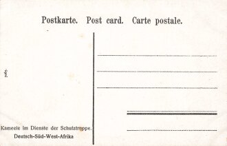 Postkarte, Deutsch Südwestafrika "Kameele im Dienste der Schutztruppe", in den Ecken Abdrücke aus Album