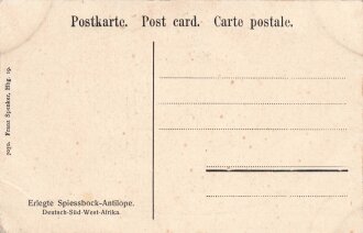 Postkarte, Deutsch Südwestafrika "Erlegte Spiessbock-Antilope", in den Ecken Abdrücke aus Album