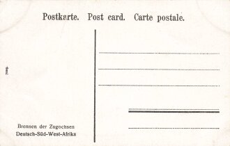 Postkarte, Deutsch Südwestafrika "Brennen der...