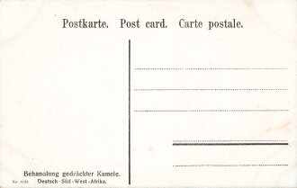 Postkarte, Deutsch Südwestafrika "Behandlung gedrückter Kamele", in den Ecken Abdrücke aus Album