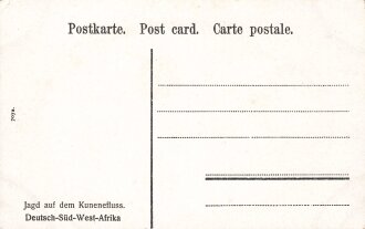 Postkarte, Deutsch Südwestafrika "Jagd auf dem...