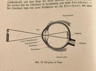 Ausbildungsvorschrift der Hitler-Jugend - Der Gesundheitsdienst der Hitler-Jugend" , datiert 1939, 182 Seiten, DIN A5