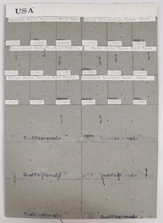 U.S.Army, Sammlung  Ärmelabzeichen (Wüstentarn), auf Karton getackert