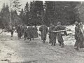 Deutschland nach 1945 "Kameraden bis zum Ende" Der Weg des SS Panzergrenadier Regiments 4 " DF"  459 Seiten, gebraucht, DIN A5