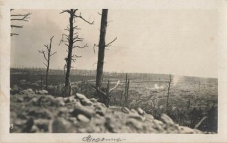 1. Weltkrieg, Foto Schlachtfeld "Argonnen"