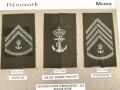 Dänemark, Sammlung Rangabzeichen der Marine für die Felduniform, auf Karton geklebt