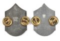 U.S.Air Force Enameled Collar Insignia set, CMS