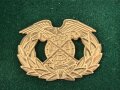 U.S. Army , Quartermastermaster Corps Regimental insignia, cased