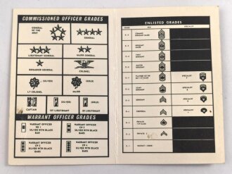 U.S. Army  1969 dated "Why we Salute" Graphic...