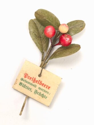 Winterhilfswerk,  Reichsstraßensammlung 1941, Heilpflanzen " Preißelbeere"