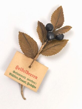 Winterhilfswerk,  Reichsstraßensammlung 1941, Heilpflanzen " Heidelbeeren"