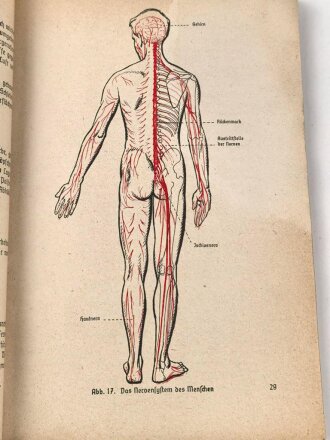 Ausbildungsvorschrift der Hitler-Jugend - Der Gesundheitsdienst des Bundes deutscher Mädels in  der HJ" datiert 1941, 178 Seiten, DIN A5, stark gebraucht