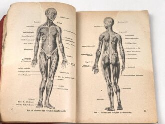 Ausbildungsvorschrift der Hitler-Jugend - Der Gesundheitsdienst des Bundes deutscher Mädels in  der HJ" datiert 1941, 178 Seiten, DIN A5, stark gebraucht